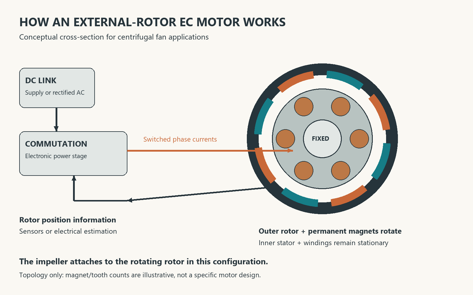 หลักการ external-rotor EC motor: สเตเตอร์ด้านในอยู่นิ่ง โรเตอร์แม่เหล็กด้านนอกหมุน จำนวนขั้วและขดลวดเป็นสัญลักษณ์